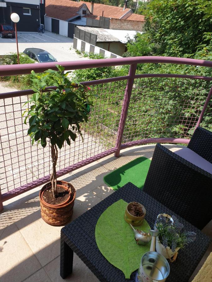 Ferienwohnung Lux Apartman Čačak Exterior foto